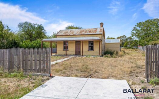 Renovators Delight